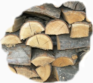 vendita legna per stufa e caminetto