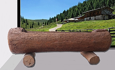 tronco di legno scavato